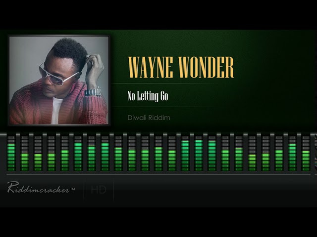 Cover image of “Wayne Wonder - No Letting Go (Diwali Riddim) [HD]”