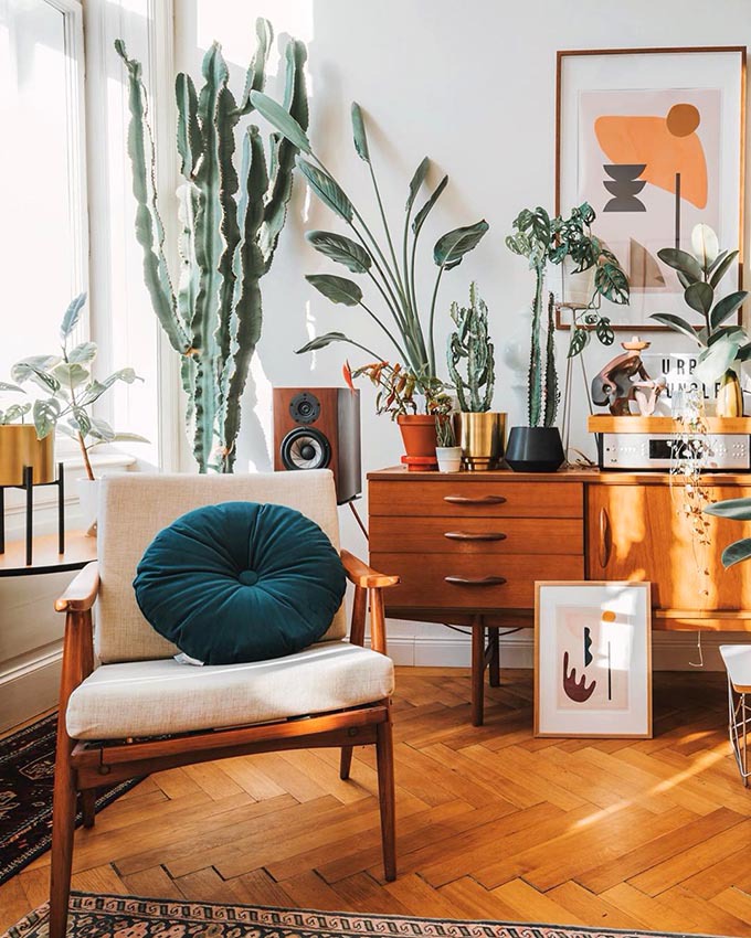 Cover image of “Boho Home Decor: 11 Tips That Show You How To Pull It Off”
