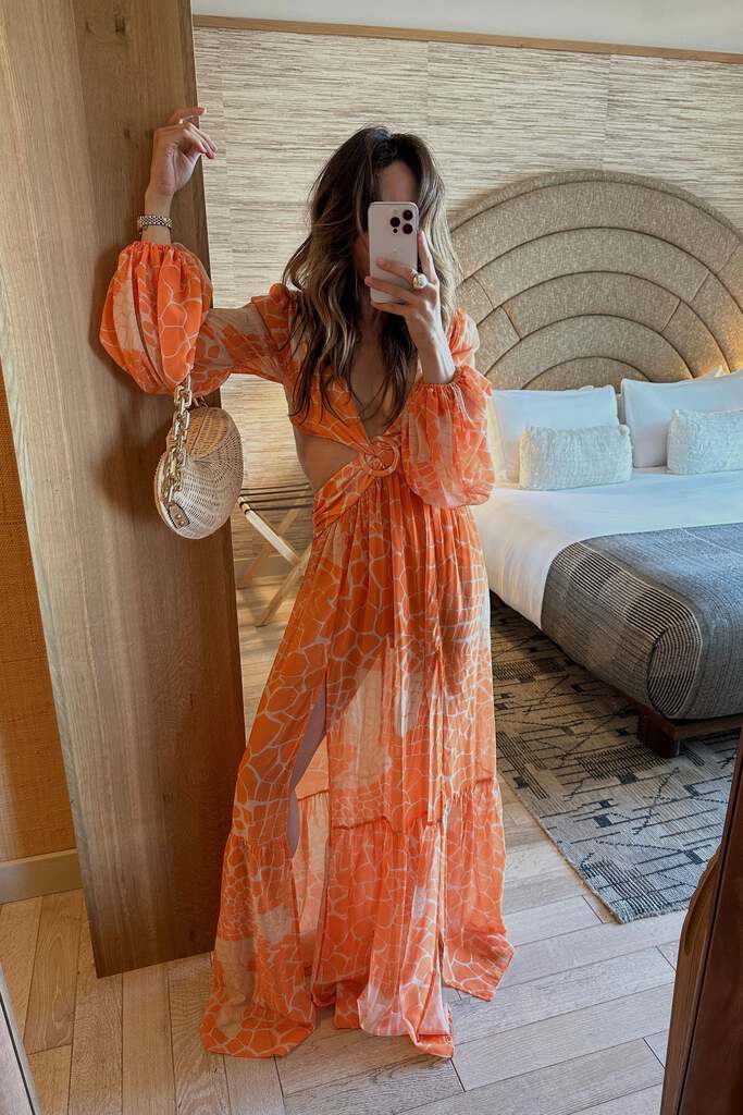 Cover image of “Daphnie Orange Maxi Dress”