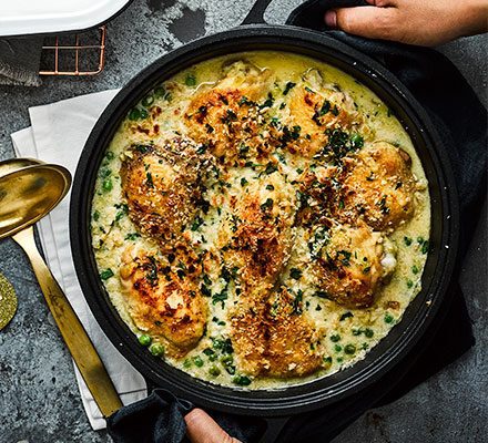 Cover image of “Creamy chicken stew”