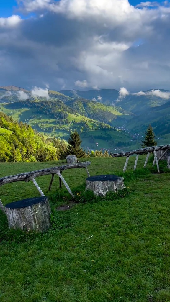 Cover image of “untitled”