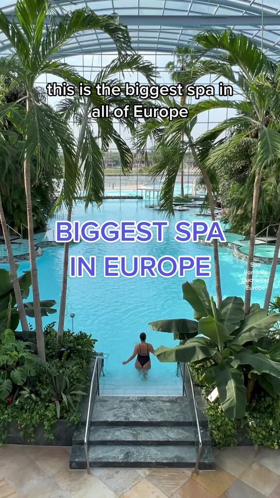 Cover image of “untitled”